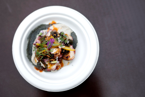 Don’t judge me, but doesn’t this dish of octopus tostada look tasty? Hence my dilemma.